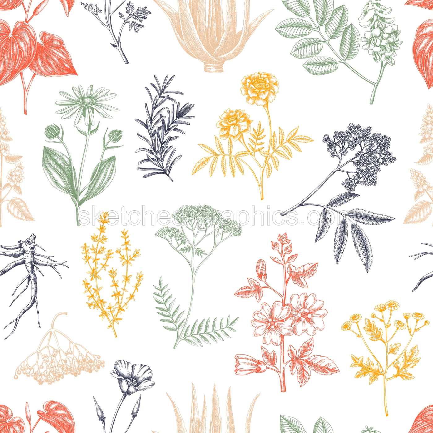 Apothecary plant background. Medicinal herbs seamless pattern. Herbal remedies, natural medicine, Healing plants sketches. Hand-drawn vector illustration.NOT AI genereted Illustration